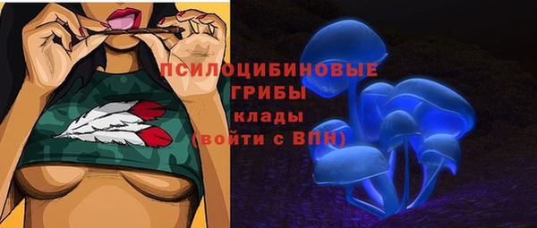 ГАЛЛЮЦИНОГЕННЫЕ ГРИБЫ Бородино