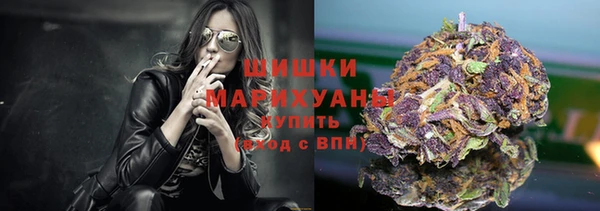 ГАЛЛЮЦИНОГЕННЫЕ ГРИБЫ Бородино
