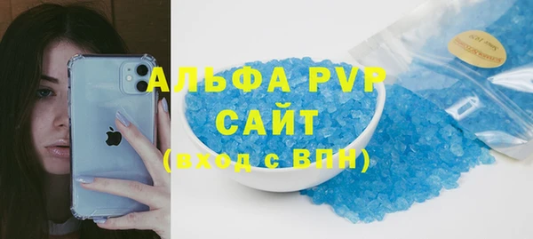 ГАЛЛЮЦИНОГЕННЫЕ ГРИБЫ Бородино