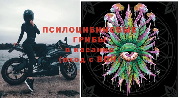эйфоретик Бронницы