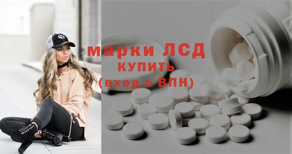 ГАЛЛЮЦИНОГЕННЫЕ ГРИБЫ Бородино