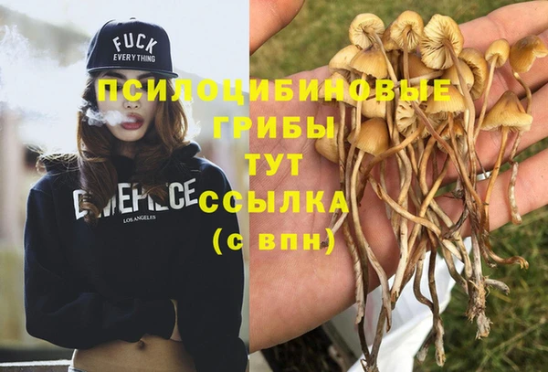 герыч Бугульма