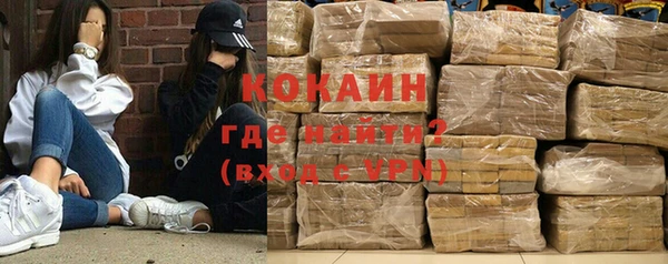 ГАЛЛЮЦИНОГЕННЫЕ ГРИБЫ Бородино