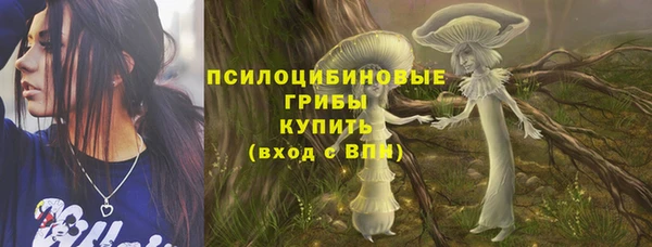 эйфоретик Бронницы