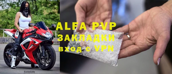 ГАЛЛЮЦИНОГЕННЫЕ ГРИБЫ Бородино