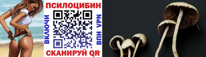 наркота  ссылка на мегу ссылка  Галлюциногенные грибы мицелий  Медногорск 